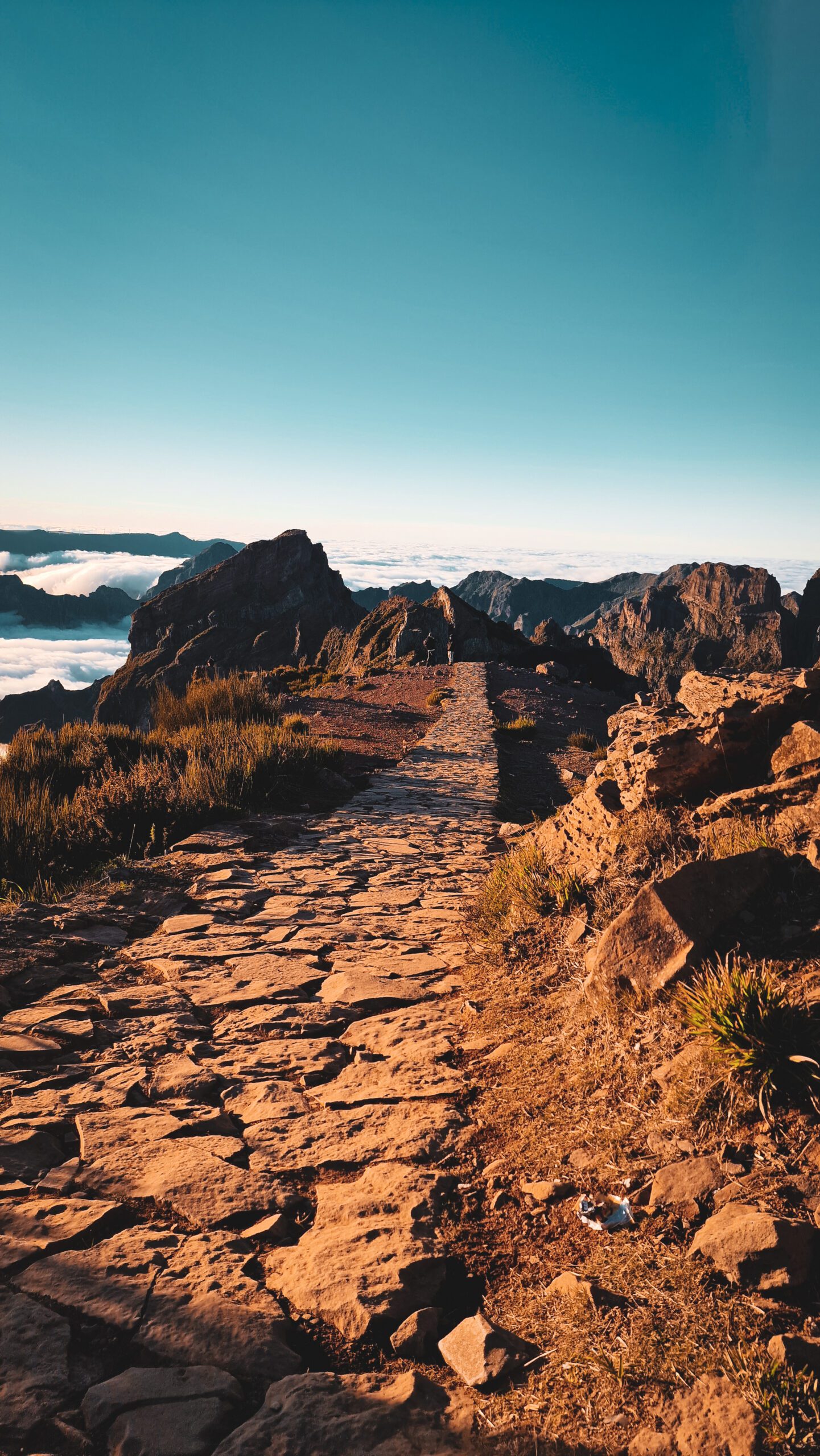 Madeira Island - Ultimate Guide_012