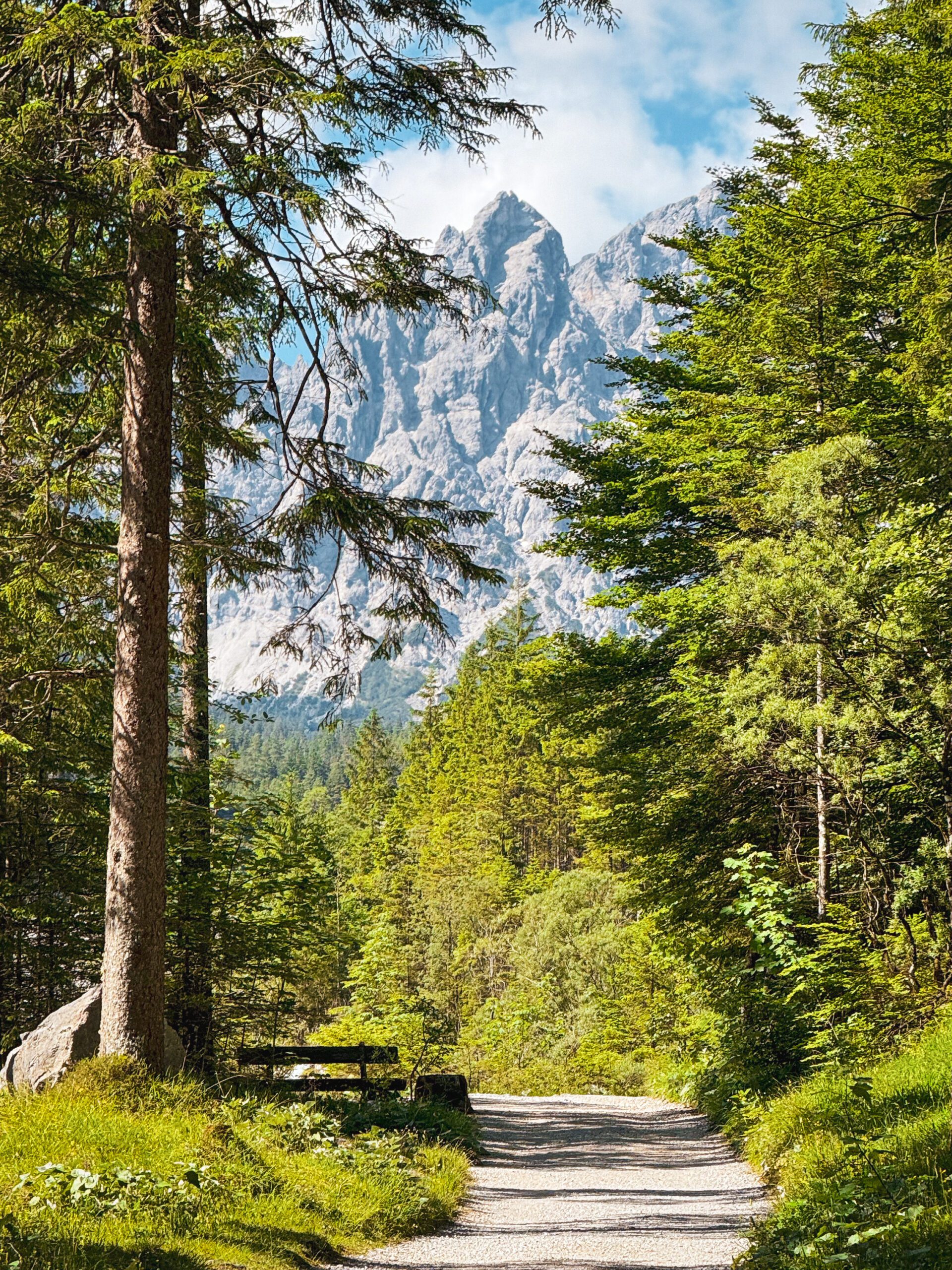 A scenic trail through a lush green forest with tall trees, leading towards rugged mountains in the background under a partly cloudy sky.